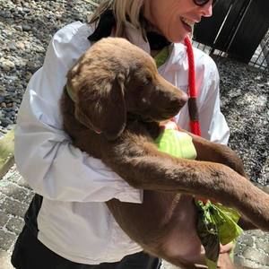 Meet your Posher, Anne